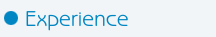 Experience